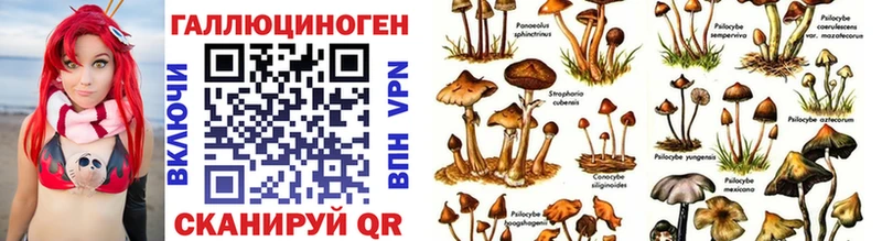 площадка клад  Череповец  Галлюциногенные грибы ЛСД  купить  